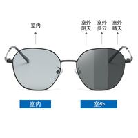 Photochromic glasses with blue light and UV protection 9649-2-GT