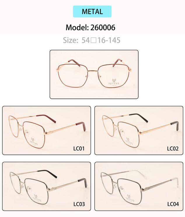 Metal eyeglasses frame for men with spring hinges 260006 (item in stock)