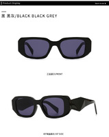Sunglasses Elit modern retro PR17WS