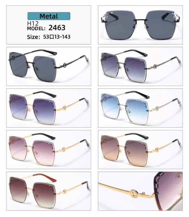 Polarized metal sunglasses H12 Matrix MT2463