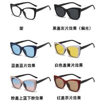 Оправа пластиковая TR90/PC + комплект из 5 поляризационных солнцезащитных насадок (клипон) на магните + кожаная сумка El Dorado EL2353D