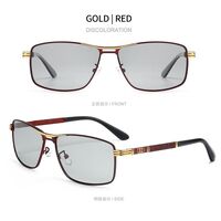 Photochromic glasses with blue light and UV protection 2871-GT