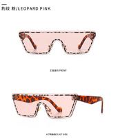 Sunglasses Elit modern model 2A265