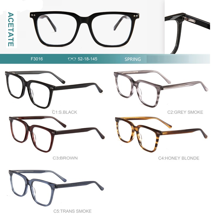 Acetate plastic frames for glasses with spring hinges Big City F3016