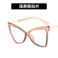 Plastic TR90 glasses with blue light protection for women 2077-5040-PN
