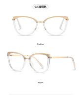 Plastic frames for glasses TR90+CA material (flex hinges) FOCUS FCS2111