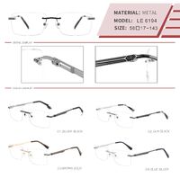 Metal rimless on screws frame for men with spring hinges LE6194-DA