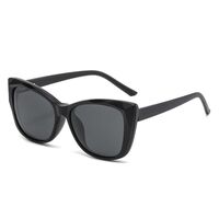 Plastic frame + polarized sun protection magnet clip-on El Dorado EL2328D
