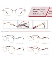 Оправа металлическая полуободковая с флексом LE6438-DA