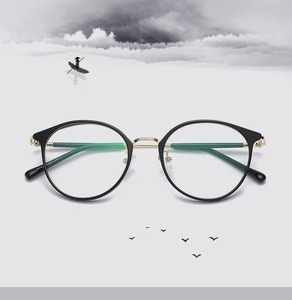 Metal + TR-90 frame SANTA S22642