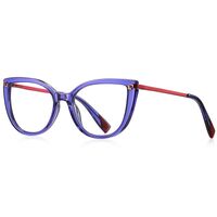 Plastic TR90 frames for glasses with Blue Ray Cut protection and flex hinges FOCUS FCS2128