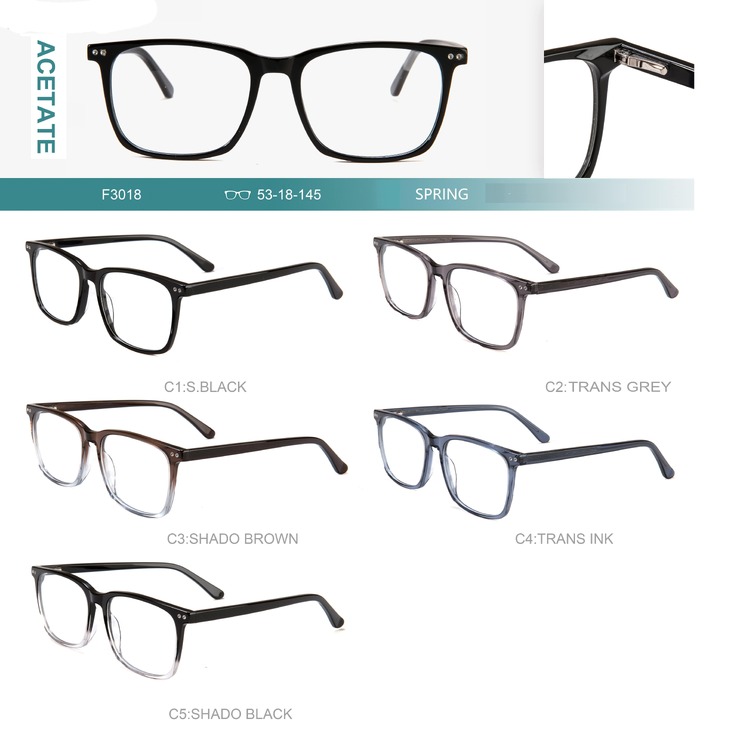 Acetate plastic frames for glasses with spring hinges Big City F3018