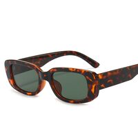 Polarized plastic sunglasses with UV400 protection 9071-GT