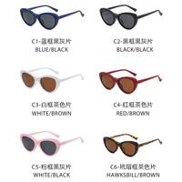 Plastic frame with flex + polarized sun protection magnet clip-on El Dorado EL2350D