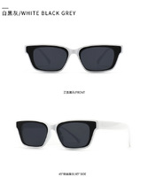 Sunglasses Elit modern 902