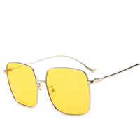 Polarized metal sunglasses with UV400 protection 2699-2-GT