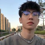 Combined (metal + TR90) nylor glasses with blue light protection for men 15208-122601-PN