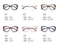 Plastic frames for glasses TR90+CA material (flex hinges) FOCUS FCS2088