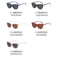 Plastic frame + polarized sun protection magnet clip-on El Dorado EL2340D