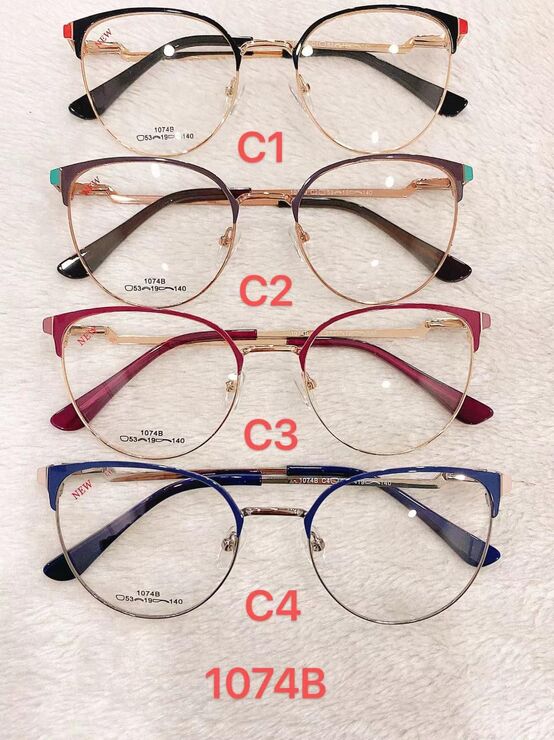 Оправа для очков металлическая с флексом 1074B