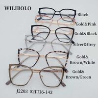 Metal + TR90 ultrathin women's frames with spring hinges Wilibolo J2203