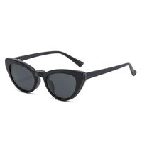 Plastic frame with flex + polarized sun protection magnet clip-on El Dorado EL2351D
