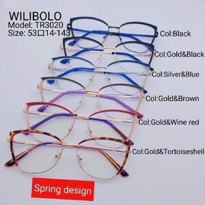 Metal +TR90 ultrathin frames with flex hinges Wilibolo TR3020