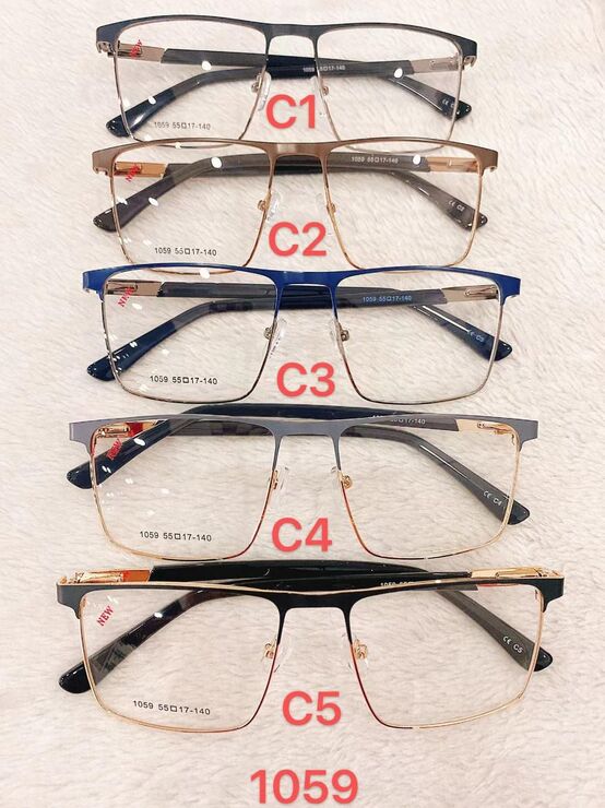 Metal frame for glasses with spring hinges Defile D1059