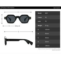 Plastic retro sunglasses Elit 6057-EL