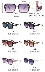 Солнцезащитные пластиковые очки из поликарбоната с металлическим шарниром 6147W