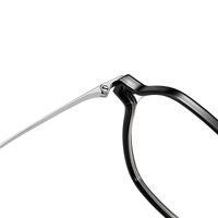 Оправа гибридная, титан + TR90 SANTA M8147