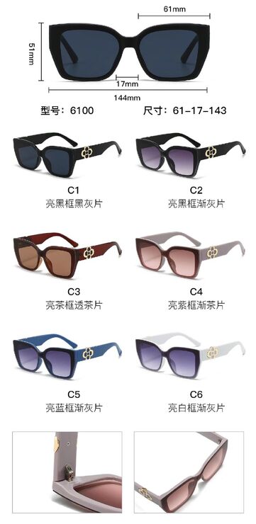 PC plastic sunglasses with metal hinge 6100W