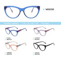 Plastic acetate eyeglasses frame with spring hinges WD2250