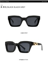 Sunglasses Elit one piece square 2188