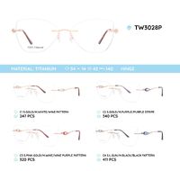 Titanium metal rimless frame TW3028P