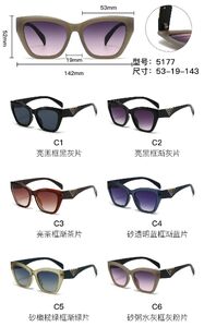 PC plastic sunglasses with metal hinge 5177W
