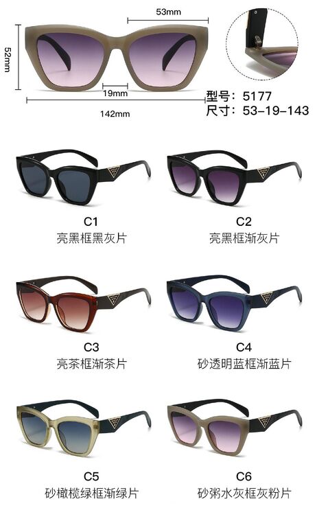 PC plastic sunglasses with metal hinge 5177W