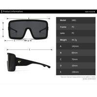 Plastic sunglasses in the shape of a mask Elit 2461-EL