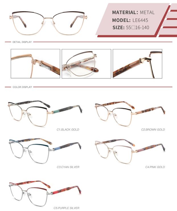 Оправа металлическая с флексом LE6445-DA