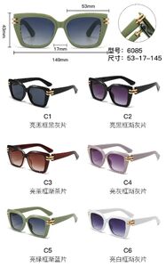 PC plastic sunglasses with metal hinge 6085W