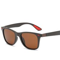 Polarized plastic TR90 sunglasses with UV400 protection 4195-GT