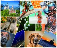 Салфетка МИКС для ухода за очками с принтом, материал микрофибра, в индивидуальной упаковке, 17,5 *14,5 см