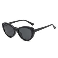 Plastic frame with flex + polarized sun protection magnet clip-on El Dorado EL2350D