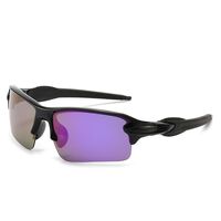 Polarized plastic sunglasses with UV400 protection 2975-GT