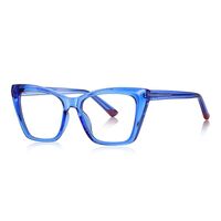 Plastic TR90 frames for glasses with Blue Ray Cut protection and flex hinges FOCUS FCS2150