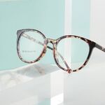 TR90 plastic frame or glasses with blue light protection, with spring hinges FA87183