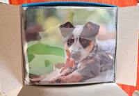 Салфетка для ухода за очками с принтом, материал микрофибра ВЛАДИВОСТОК, 17,5 *14,5 см