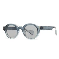 Plastic retro sunglasses for men Elit 6059-EL