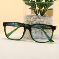 Plastic frame with anti-blue light protection lenses, with spring hinges Elit 5721-EL