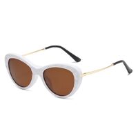 Plastic frame with flex + polarized sun protection magnet clip-on El Dorado EL2352D